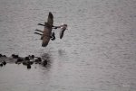 FlyPic (38).jpg