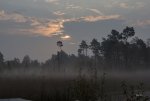 FlyPic (6).jpg