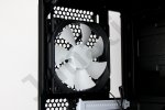 fan back.jpg