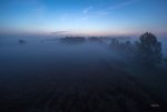 FlyPic01.jpg