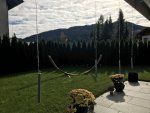 IMG_1681.jpg