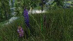 SkyrimSE_2017_10_24_18_34_06_228.jpg