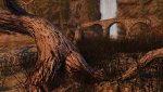 SkyrimSE_2017_10_24_18_23_28_554.jpg