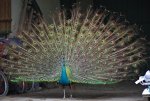 DSC01364 -1.jpg