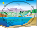 Carbon_cycle-cute_diagram-german.png