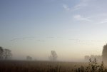 FlyPic16.jpg