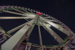FlyPic03.jpg