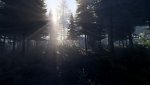 comp_Tom Clancy's Ghost Recon  Wildlands Super-Resolution 2017.10.29 - 16.04.28.72.jpg