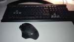 IMG_20171031_145730.jpg