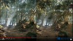 BF2.jpg