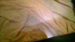 WP_20171110_005.jpg