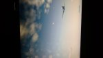 DSC_4084.jpg