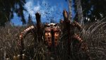 SkyrimSE_2017_12_03_12_55_05_571.jpg