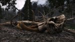 SkyrimSE_2017_12_03_13_07_54_091.jpg