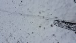 20171209_112023.jpg