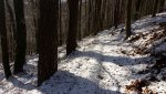 20171209_114539.jpg