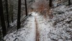 20171209_114658.jpg