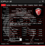 CPU-Z mit SMT (AUTO).PNG