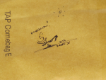 nils2.png
