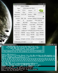 brute.png