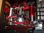 DSC02454.jpg