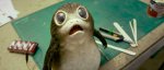 d23-porgs-screenshot-the-last-jedi.jpg
