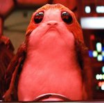 Porg.jpg
