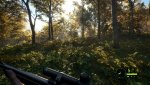 theHunterCotW_F_2018_01_06_12_57_51_373.jpg