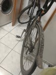 IMG_20171130_210523594.jpg