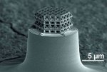 Nanofachwerkg.jpg