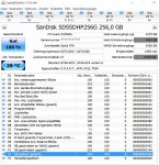 San Disk D Crystal Disk.JPG