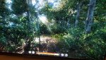 20180213_035752.jpg