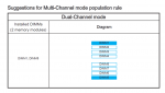 dualchannel.PNG