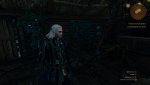 witcher3 2018-02-19 05-02-26-27.jpg