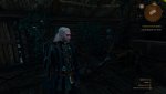 witcher3 2018-02-19 05-01-32-90.jpg