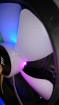 DSC_1039.JPG
