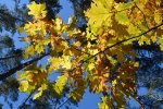 DSC_1814.jpg