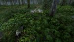 KingdomCome_2018_03_17_13_52_38_073.jpg