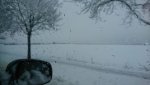 IMG-20180329-WA0002.jpg