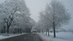 IMG-20180329-WA0004.jpg