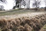 DSC00082.jpg