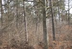 DSC00091.jpg