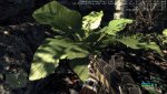 Crysis Screenshot 2018.04.11 - 08.48.18.59.jpg