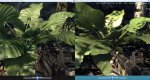 vgl.JPG