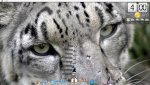 Desktop Snow Leo.jpg