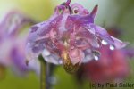 IMG_0047 [irgendwo posten].JPG