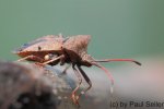 IMG_0094 [irgendwo posten].JPG