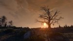 The Witcher 3 Super-Resolution 2018.02.07 - 22.18.01.53.jpg