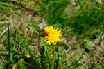 DSCF1151.jpg
