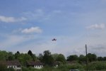 IMG_4248.jpg
